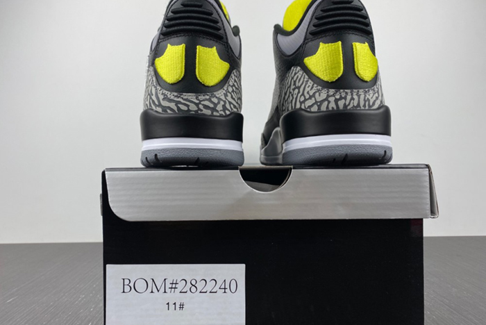NIB Air Jordan 3 Retro Oregon Duck 282240