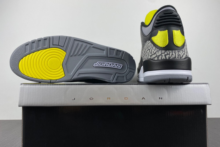 NIB Air Jordan 3 Retro Oregon Duck 282240